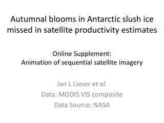 Autumnal blooms in Antarctic slush ice missed in satellite productivity estimates
