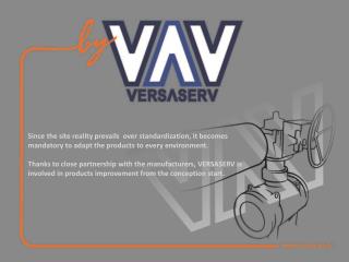 VERSASERV’s business concept