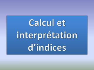 Calcul et interprétation d’indices