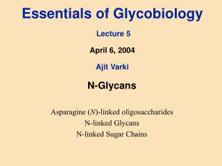 Essentials of Glycobiology Lecture 5 April 6, 2004 Ajit Varki