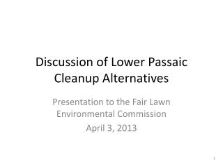 Discussion of Lower Passaic Cleanup Alternatives