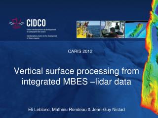 Vertical surface processing from integrated MBES – lidar data