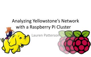 Analyzing Yellowstone’s Network with a Raspberry Pi Cluster