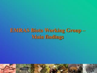 EMRAS Biota Working Group –Main findings