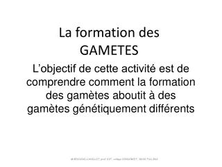 La formation des GAMETES