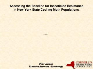 Assessing the Baseline for Insecticide Resistance in New York State Codling Moth Populations .