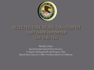 Selected Case Study: Counterfeit Software Importer Lay Eng Teo