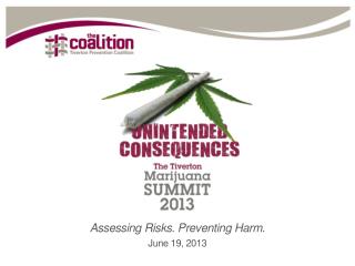 Assessing Risks. Preventing Harm. June 19, 2013