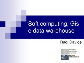 Soft computing, Gis e data warehouse