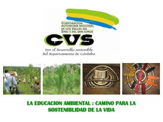 LA EDUCACION AMBIENTAL : CAMINO PARA LA SOSTENIBLIDAD DE LA VIDA