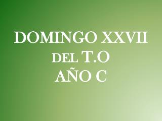 DOMINGO XXVII del T.O AÑO C