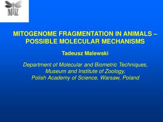 MITOGENOME FRAGMENTATION IN ANIMALS – POSSIBLE MOLECULAR MECHANISMS Tadeusz Malewski