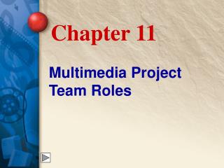 Multimedia Project Team Roles