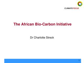 The African Bio-Carbon Initiative