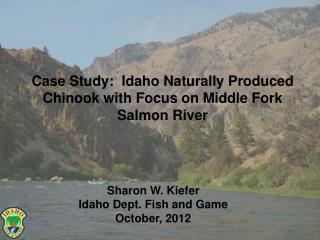 Case Study:  Idaho Naturally Produced Chinook with Focus on Middle Fork Salmon River