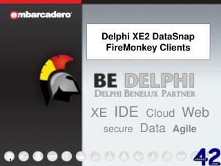 Delphi XE2 DataSnap FireMonkey Clients