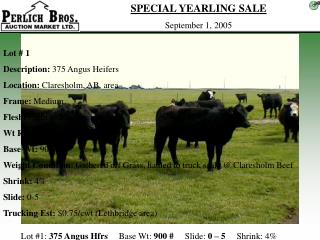 Lot #1: 375 Angus Hfrs Base Wt: 900 # Slide: 0 – 5 Shrink: 4%