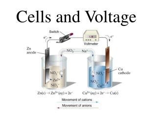 Cells and Voltage