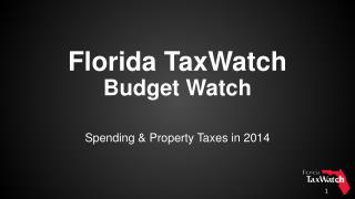 Florida TaxWatch Budget Watch
