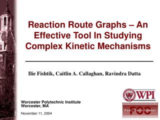 Reaction Route Graphs – An Effective Tool In Studying Complex Kinetic Mechanisms