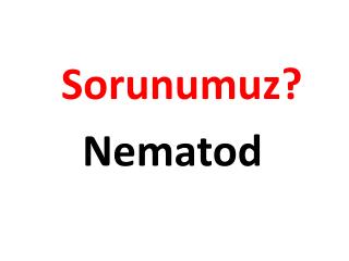 Sorunumuz? Nematod