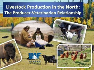 Livestock Production in the North: The Producer-Veterinarian Relationship