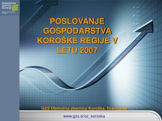 POSLOVANJE GOSPODARSTVA KOROŠKE REGIJE V LETU 2007