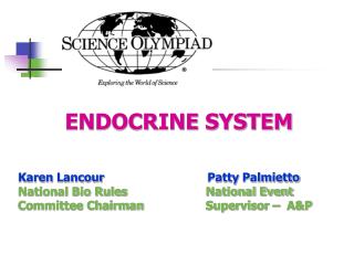 ENDOCRINE SYSTEM