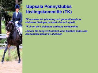 Uppsala Ponnyklubbs tävlingskommitté (TK)