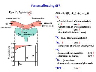 GFR = K f · {(P C - P BS ) - ( p C - p BS )}