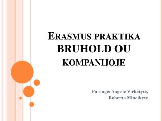 Erasmus praktika BRUHOLD OU kompanijoje