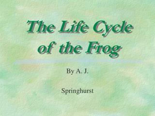 The Life Cycle of the Frog