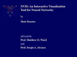 NVIS: An Interactive Visualization Tool for Neural Networks