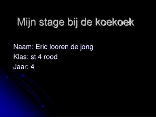 Mijn stage bij de koekoek