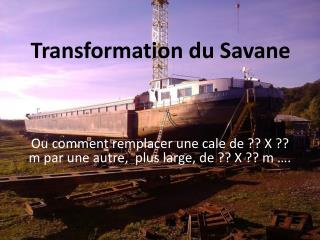 Transformation du Savane