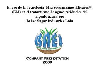 Company Presentation 2009