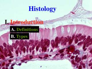 Histology