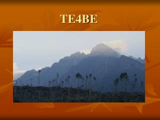 TE4BE
