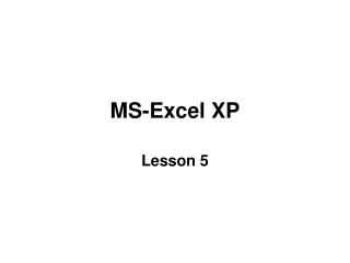 MS-Excel XP