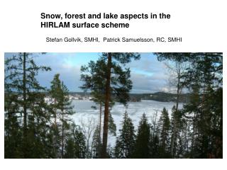 Snow, forest and lake aspects in the HIRLAM surface scheme