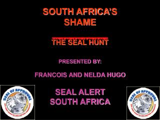 SOUTH AFRICA’S SHAME THE SEAL HUNT