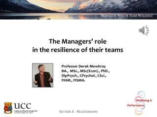 The Managers’ role in the resilience of their teams