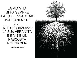 LA MIA VITA MI HA SEMPRE FATTO PENSARE AD UNA PIANTA CHE VIVE NEL SUO RIZOMA: LA SUA VERA VITA