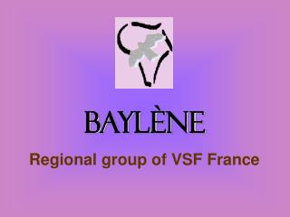 Baylène Regional group of VSF France