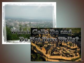 Which Cells Do and Do Not Have Walls?