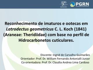 Discente: Ingrid de Carvalho Guimarães Orientador: Prof. Dr. William Fernando Antonialli Junior