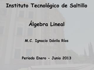 Instituto Tecnológico de Saltillo Álgebra Lineal M.C. Ignacio Dávila Ríos