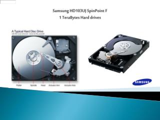 Samsung HD103UJ SpinPoint F 1 TeraBytes Hard drives