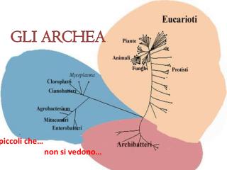 GLI ARCHEA