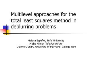 Multilevel approaches for the total least squares method in deblurring problems